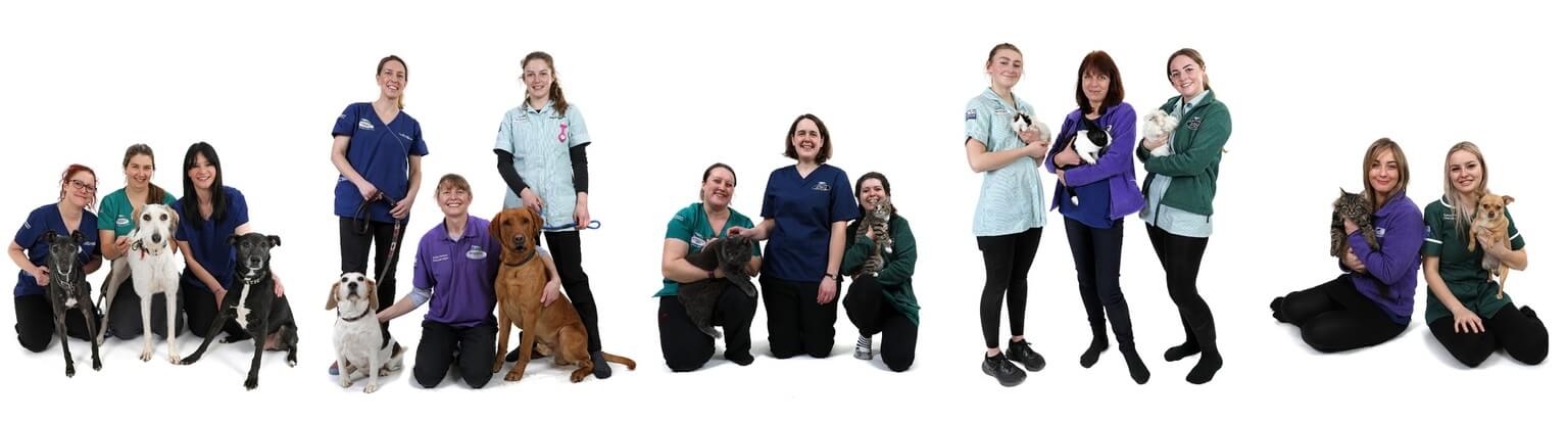 Veterinary team at RYEDALE VETS