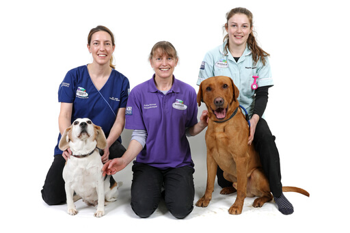 veterinary staff at ryedalevets