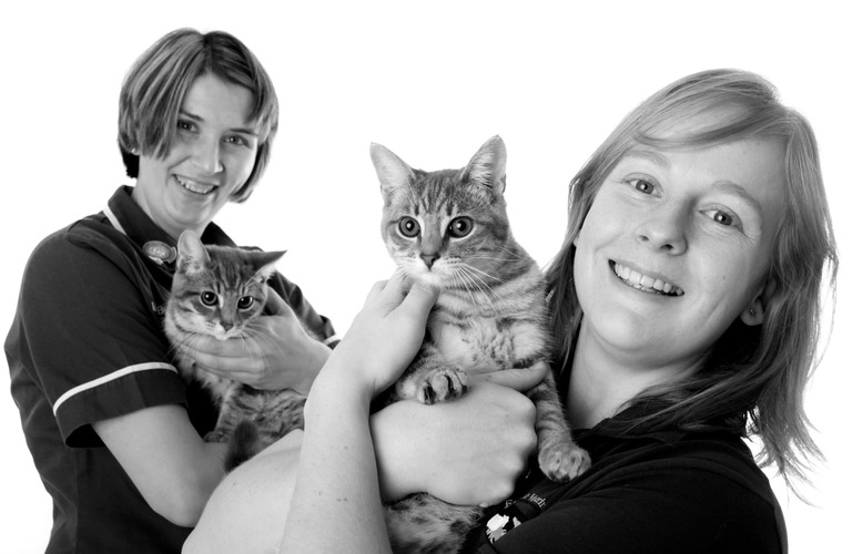 two women holding a cat against a white background