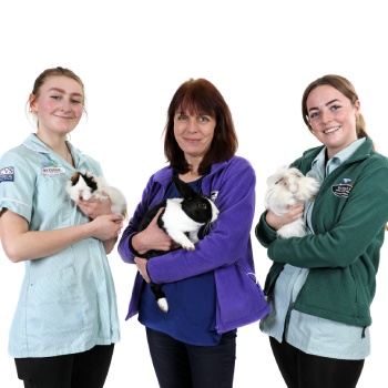 Three vets standing together while holding pets