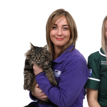 Vet sitting on the floor while holding a cat