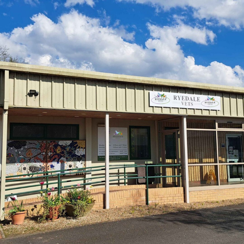 Outside facade of ryedale vets